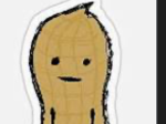 Pinnut