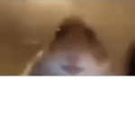 Thomasfreeman413