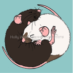 ||*RAT ARMY*||