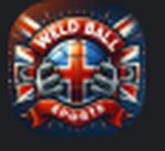 Weld Ball Sports