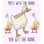 Super duck games