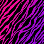 zebras :)