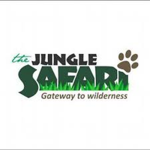JUNGLE TEAM STUDIOS