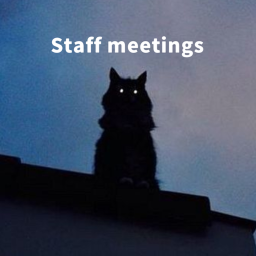 🐾 Staff meetings
