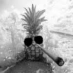 The Tropical Oasis