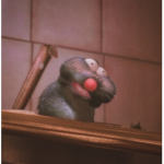 Ratatouille's little angel cult