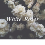 White_Roses