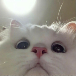 [ Content Deleted 34357841 ]