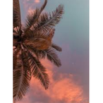 xXGROUPXx546