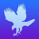 Smart Hawk