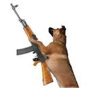 STRONG DOGS