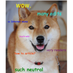 THE DOGE WAR PLANS