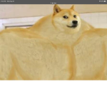 Dogged untied :>