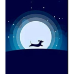 moonlight doxie