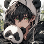 I panda di Darco