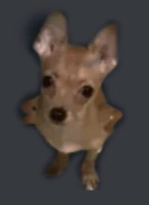 PerroWorks Roblox group icon