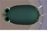 The Poob Tribe