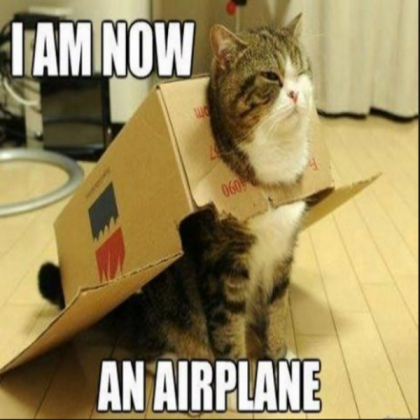 Another cat meme Roblox decal
