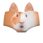 Sinwxion
