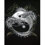 Dragon of patch
