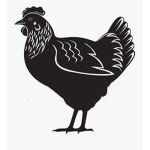 chickensGSE's Group