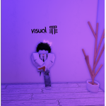 visual 罪