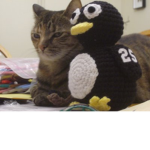 Meow, Penguin and friends!!!