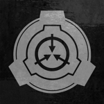 ( S T F ) Special Task Force