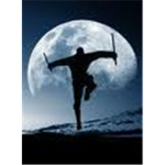Ninja's Of The White Moon
