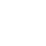 persion rugs
