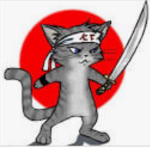 GATINHOS NINJAS