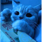 +KittyClub+