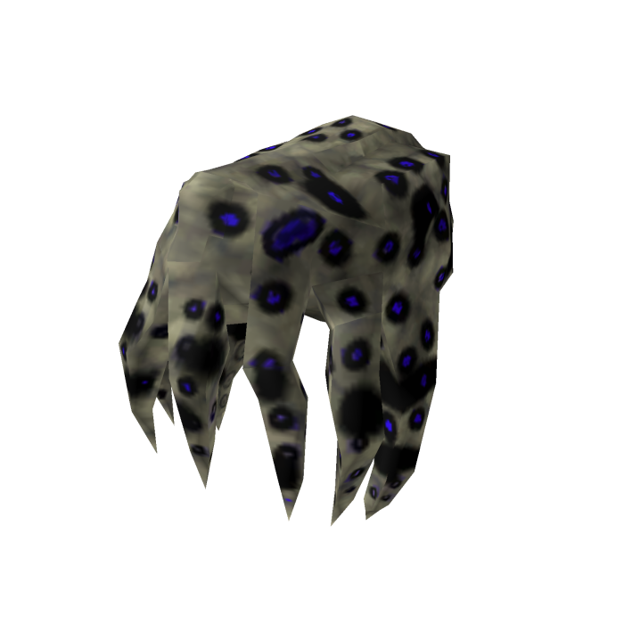 Blue Ringed Octopus