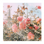 F l o w e r A r m y