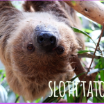 sloth tatos