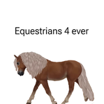 Equestrians 4 ever
