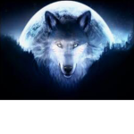 Wolf Puppies And Cubs