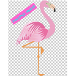 Flamingo sqaud!!!