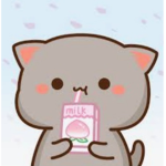 Miin grup
