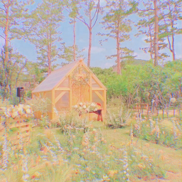 ✧･ﾟ: *✧･ﾟ:*