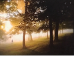 DayLightSleeps