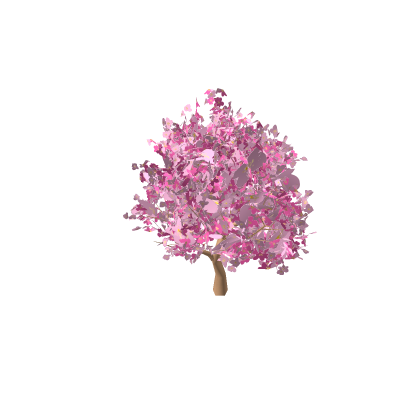 Cherry blossom tree