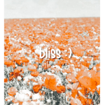 bliss :)