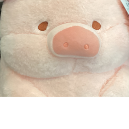Pig Racing in a SpaceShip