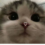 Cill0k