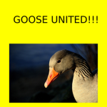 Goose United!!!