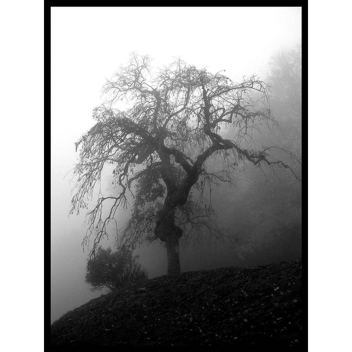 Roblox High School [W.I.P]