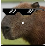 CAPYBARA_ ARMY