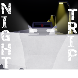 Night Trip