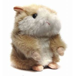 Hamsty